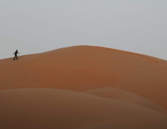 Morning Desert Safari (Dubai)