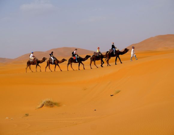 Camel Trekking (Dubai)