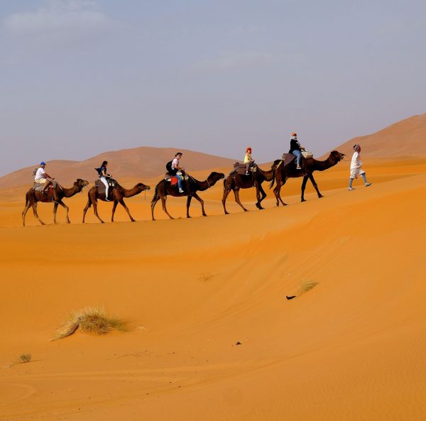 Camel Trekking (Dubai)