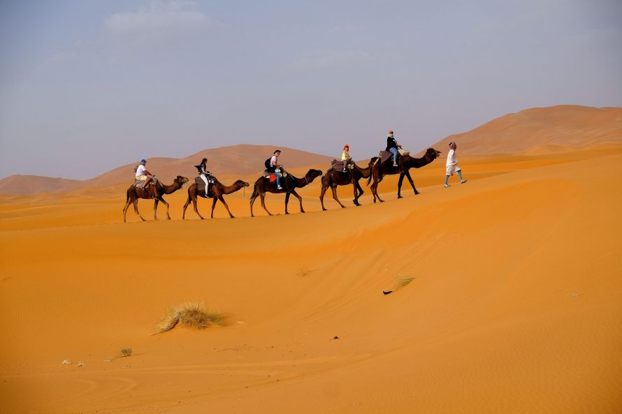 Camel Trekking (Dubai)