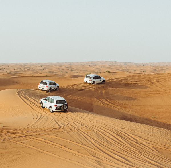 Evening Desert Safari (Ras Al Khaimah)