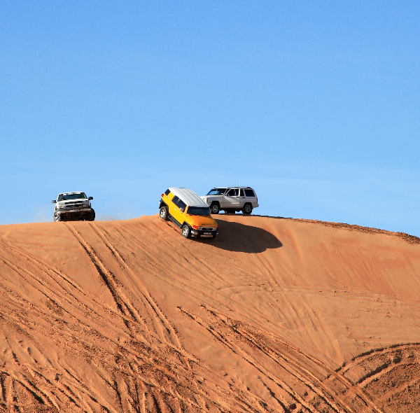 Morning Desert Safari (Ras Al Khaimah)